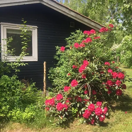 Sommerhus Pa Oro Brønde